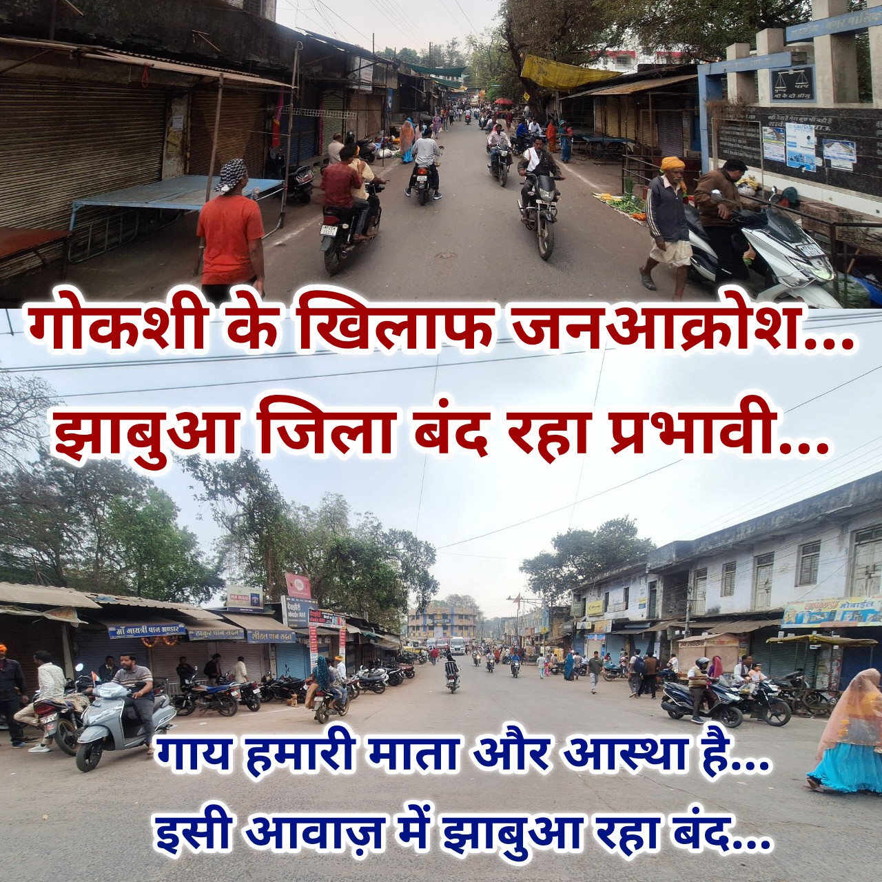 गोकशी के मामलों ने उबाल दिया झाबुआ, प्रशासनिक लापरवाही के खिलाफ ठप रहा जिला