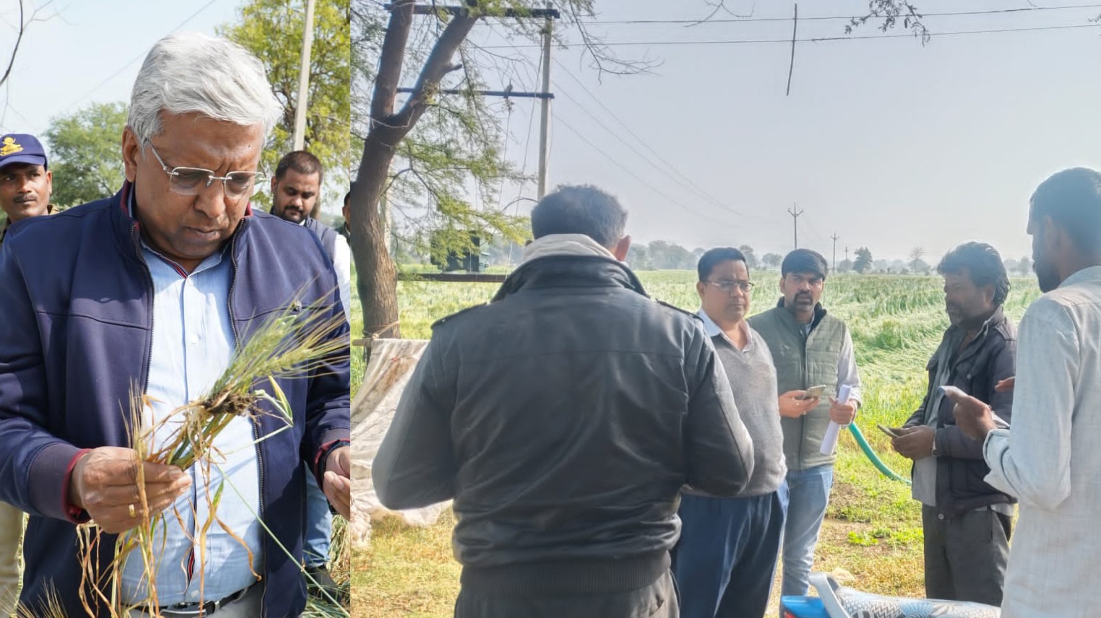 ओलावृष्टि के बाद खेतों में पहुंची सर्वे टीम मावठे की बारिश और ओलावृष्टि से फसल नुकसान के बाद राजस्व एवं कृषि विभाग की टीम गांव में पहुंचकर खेतों में नुकसान का आकलन करती हुई।