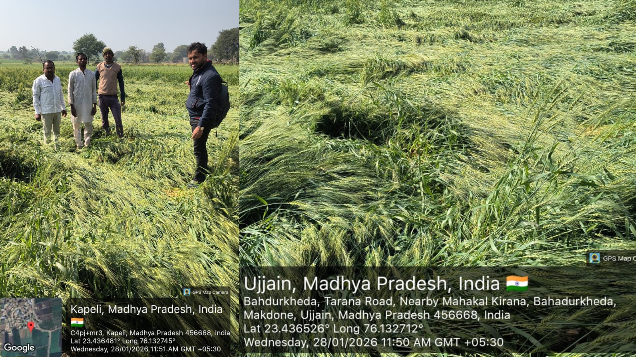 नुकसान के आंकलन में जुटा प्रशासनिक अमला कलेक्टर के मार्गदर्शन में राजस्व विभाग की टीम द्वारा गांव-गांव जाकर रबी फसलों को हुए नुकसान का सर्वे करते अधिकारी।