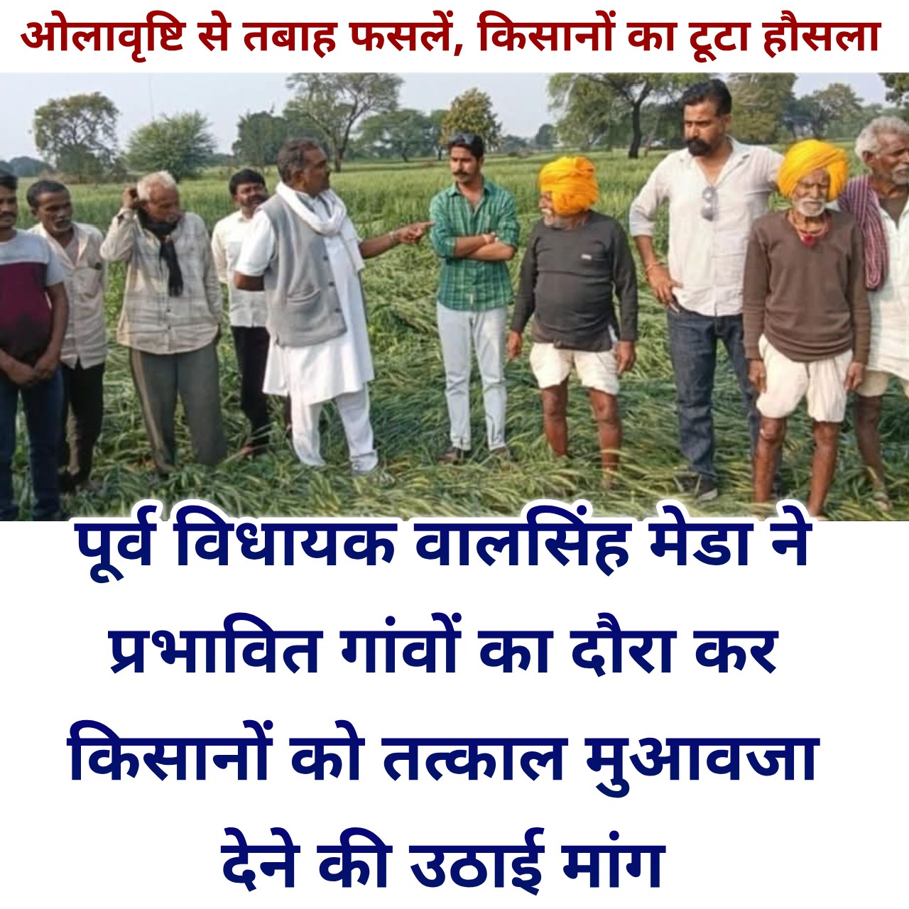 ओलावृष्टि से तबाह फसलें, पूर्व विधायक वालसिंह मेडा ने किया प्रभावित क्षेत्रों का दौरा, किसानों को तत्काल मुआवजा देने की मांग