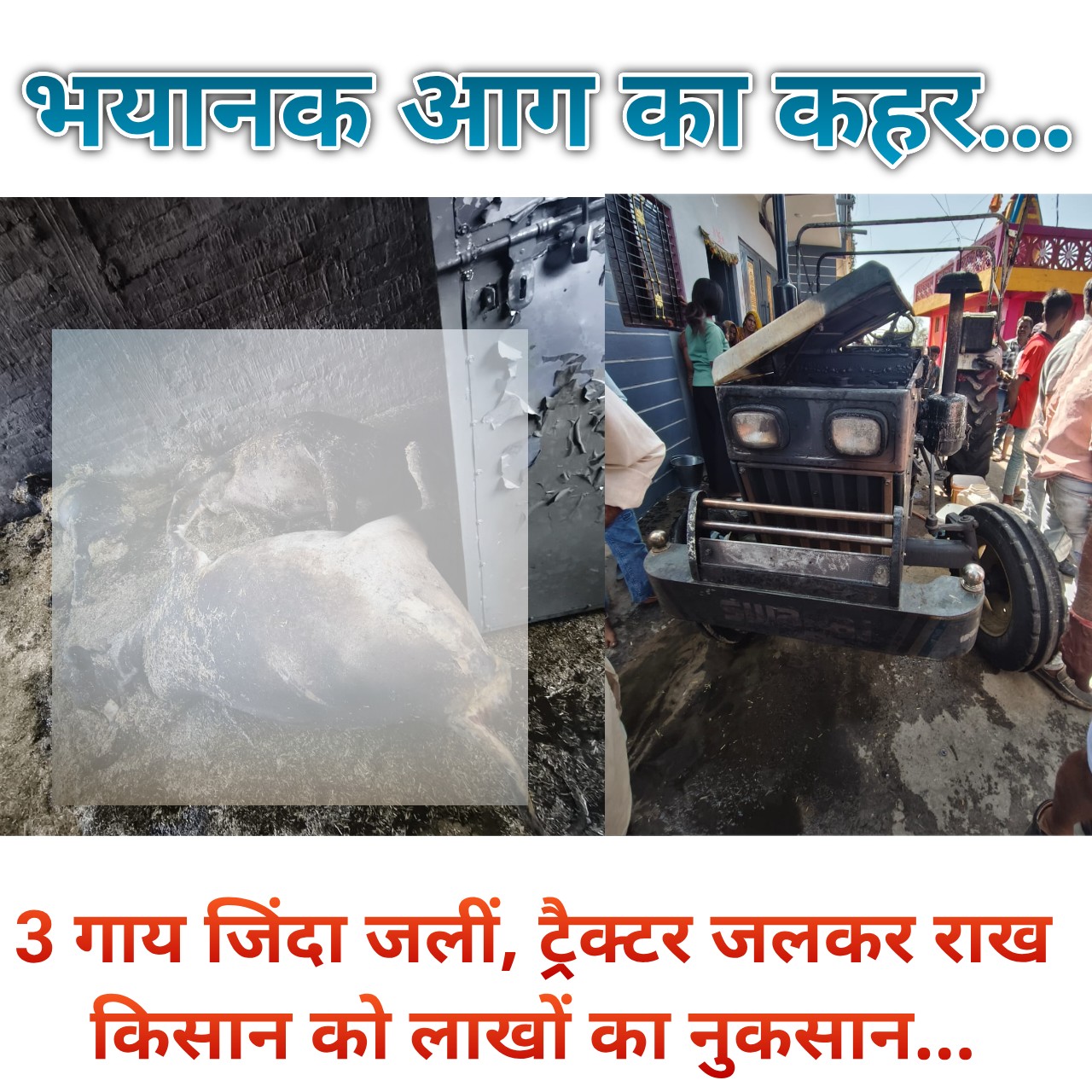 घर में भड़की भीषण आग ने मचाया कहर: 3 गाय जिंदा जलीं, स्वराज 744 ट्रैक्टर राख, किसान को लाखों का नुकसान