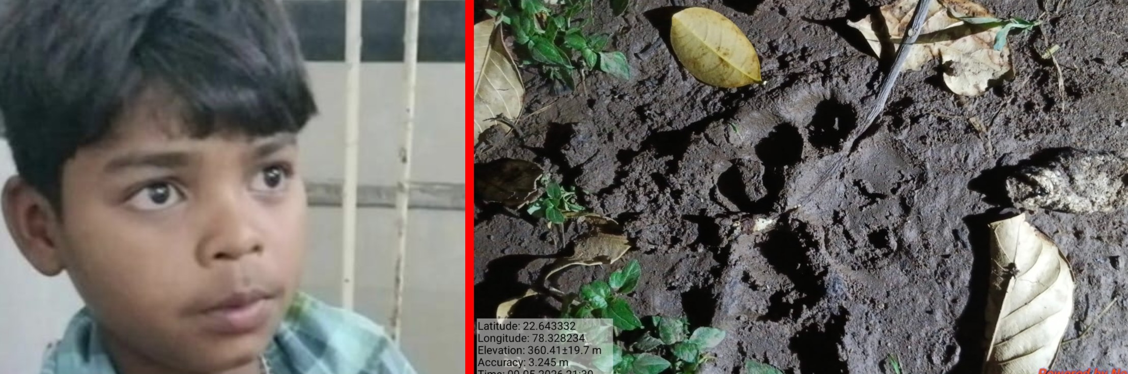 मौत सामने थी... लेकिन 13 साल के सत्यम ने नहीं मानी हार तेंदुए से लड़कर बचाई जान